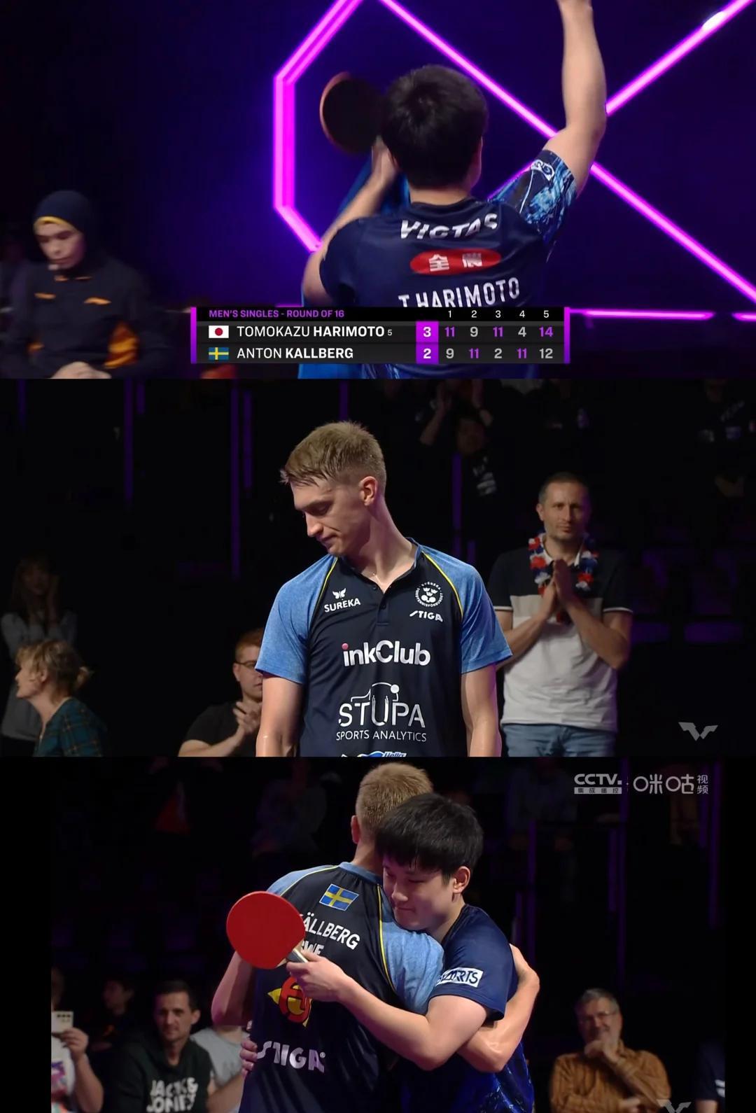 奥地利队绝杀德国队，张本智和状态火热