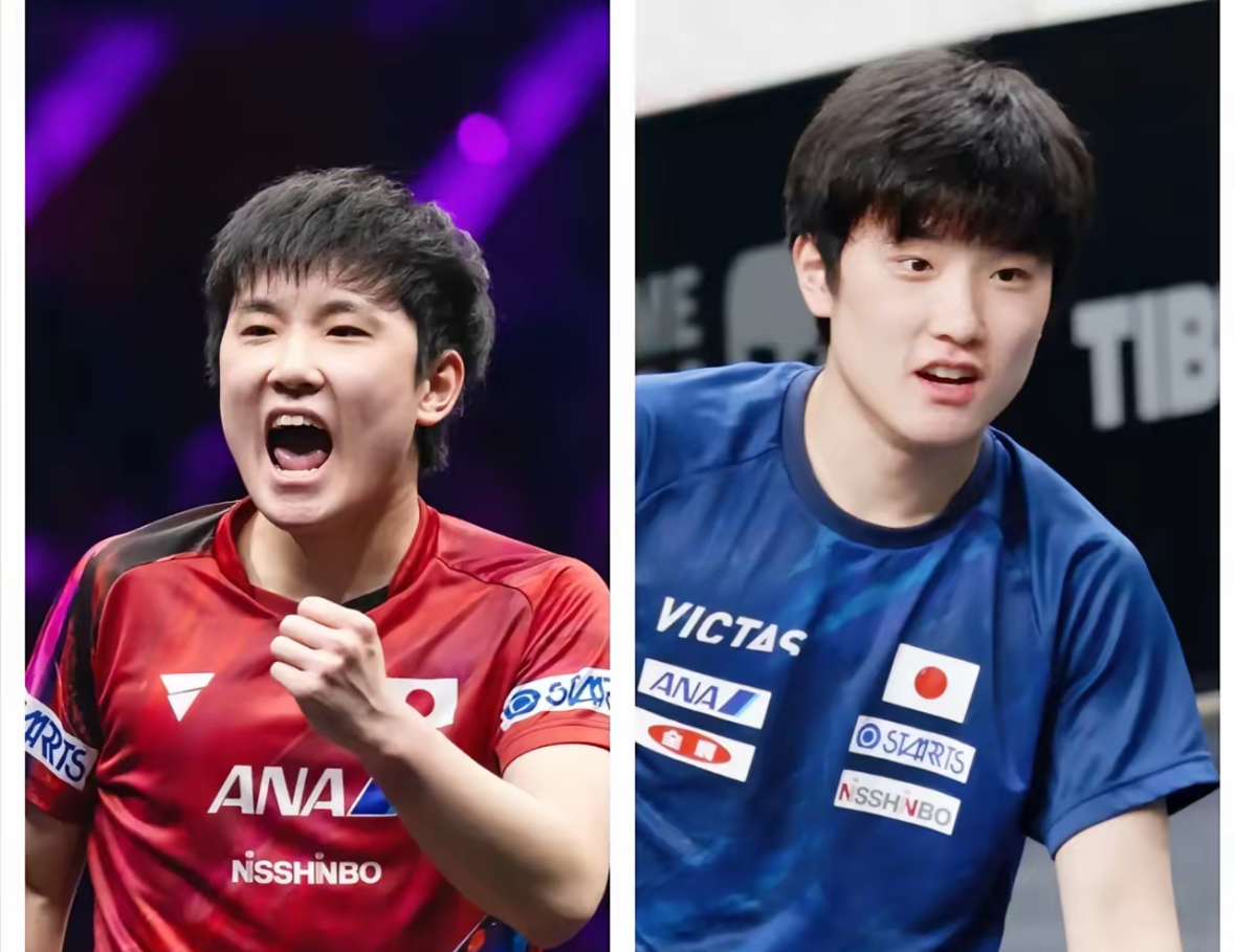 波兰队翻盘德国队，张本智和惊艳四座